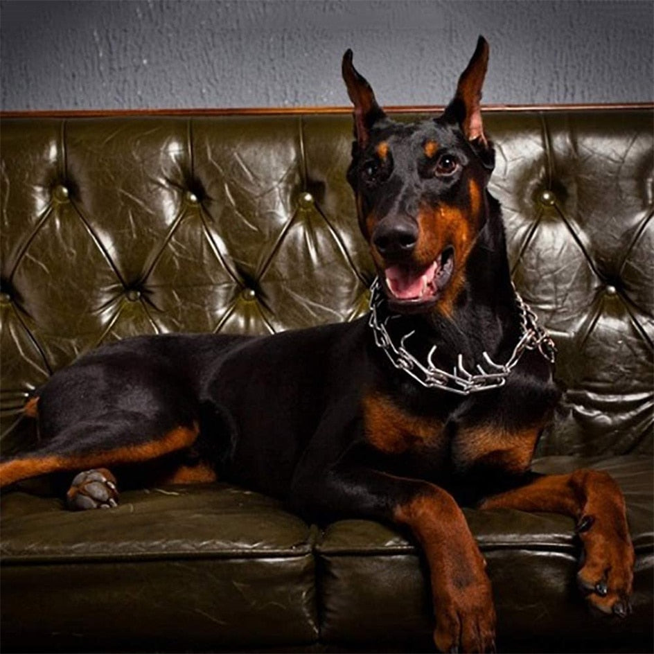 Hunde Stachelhalsband - Stil B