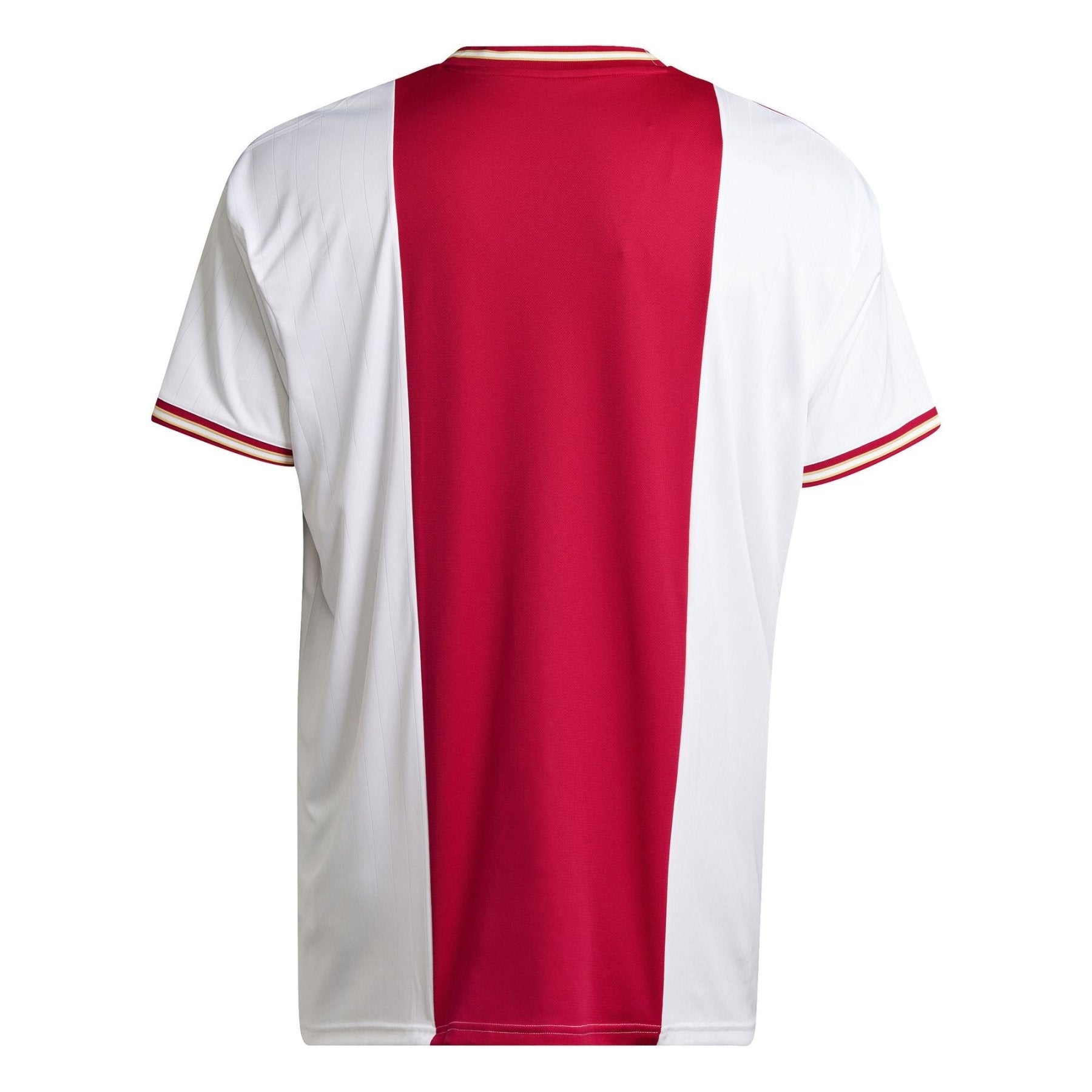 AJAX AMSTERDAM Heimtrikot Herren 22 / 23