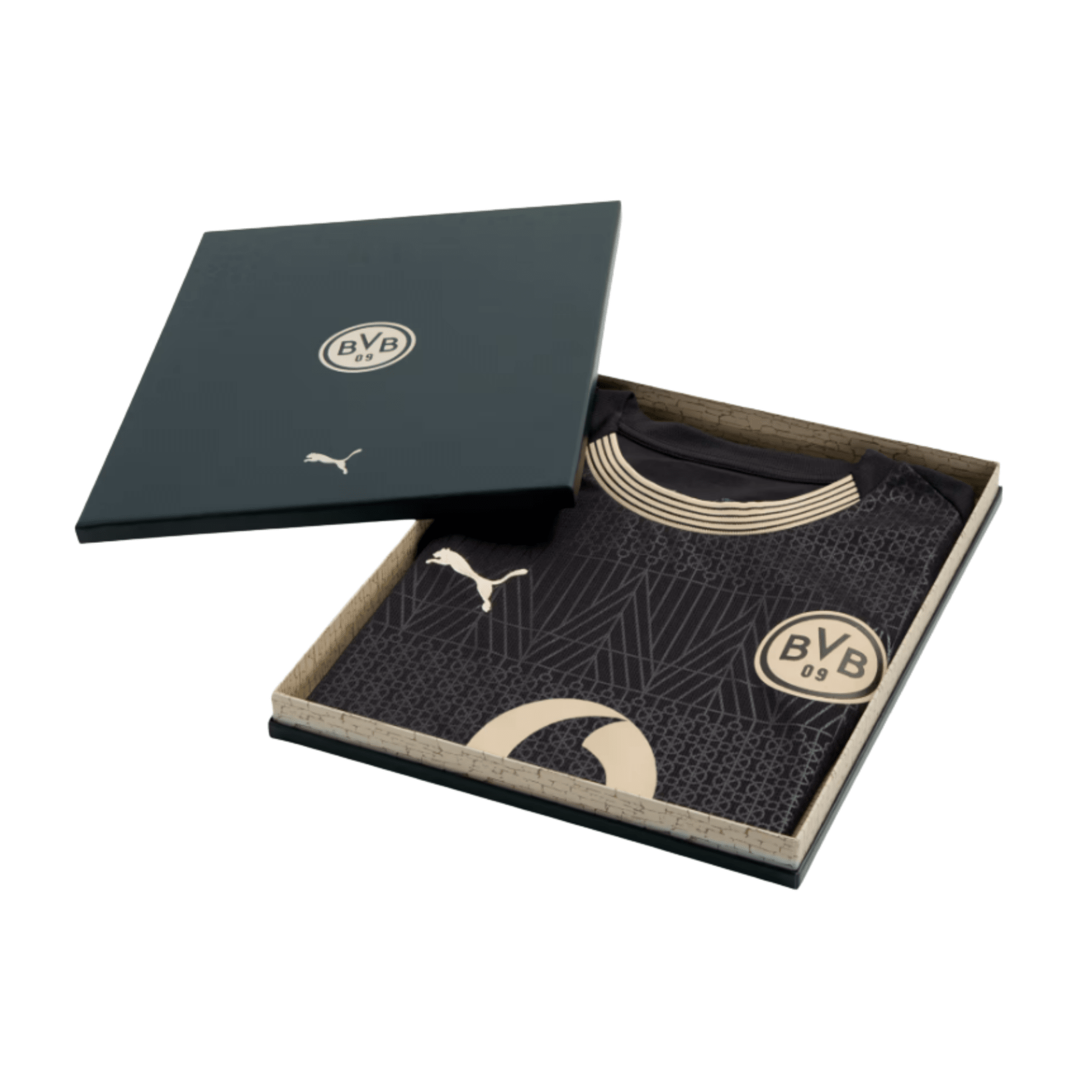 BVB BORUSSIA DORTMUND Special Jersey Men 25 / 26
