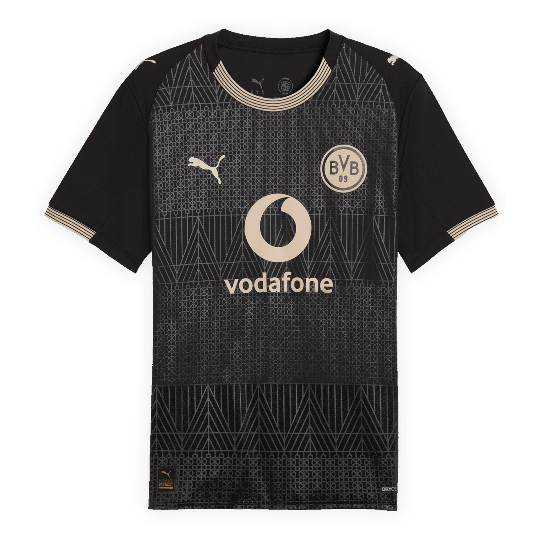 BVB BORUSSIA DORTMUND Special Jersey Men 25 / 26