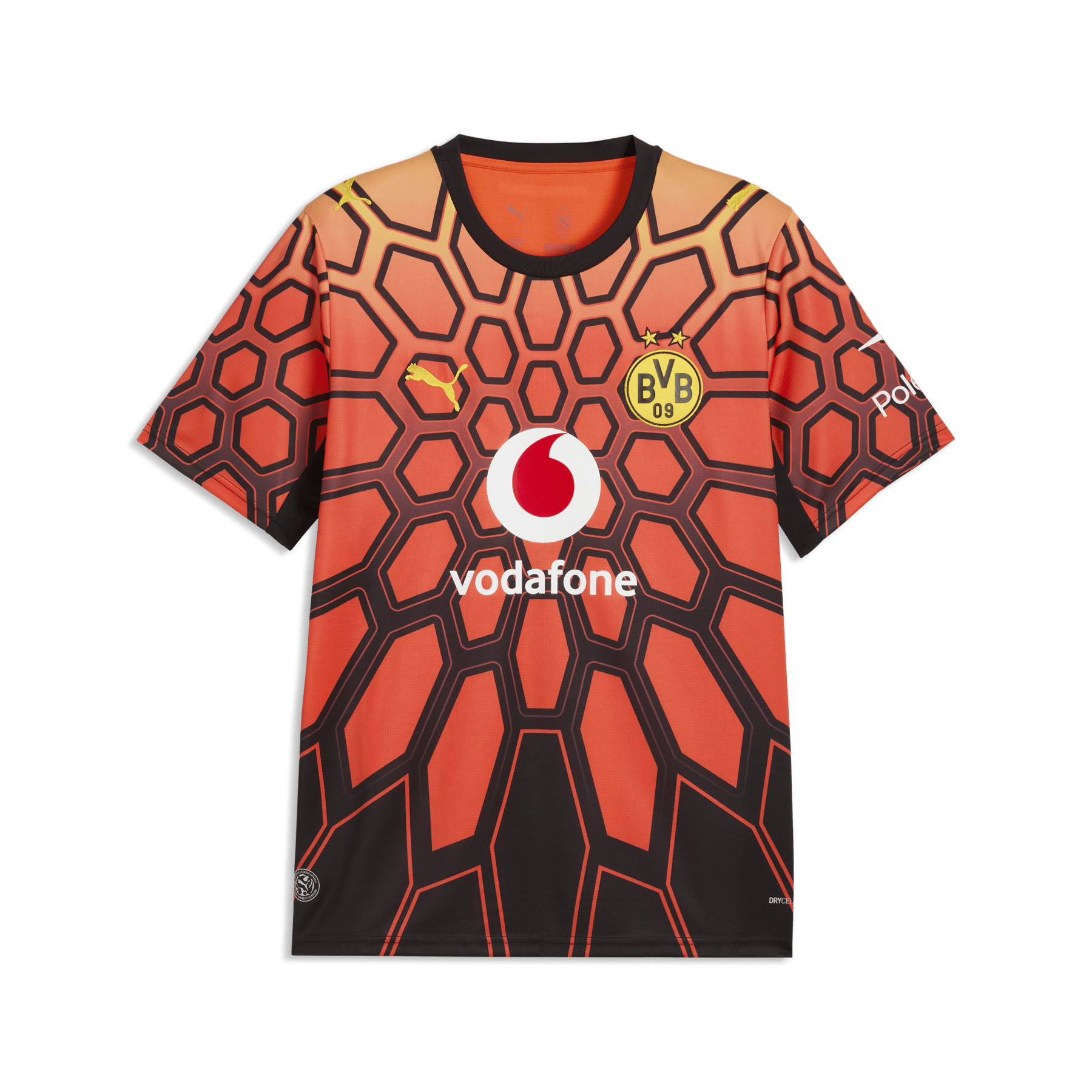 BVB BORUSSIA DORTMUND Torwarttrikot Herren Orange 26 / 27