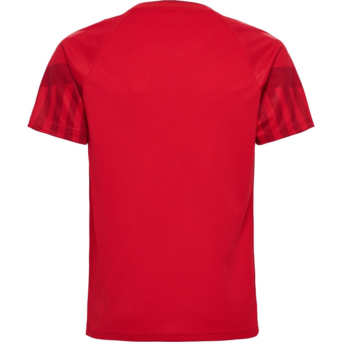 DENMARK Home Kit Kids World Cup 2022