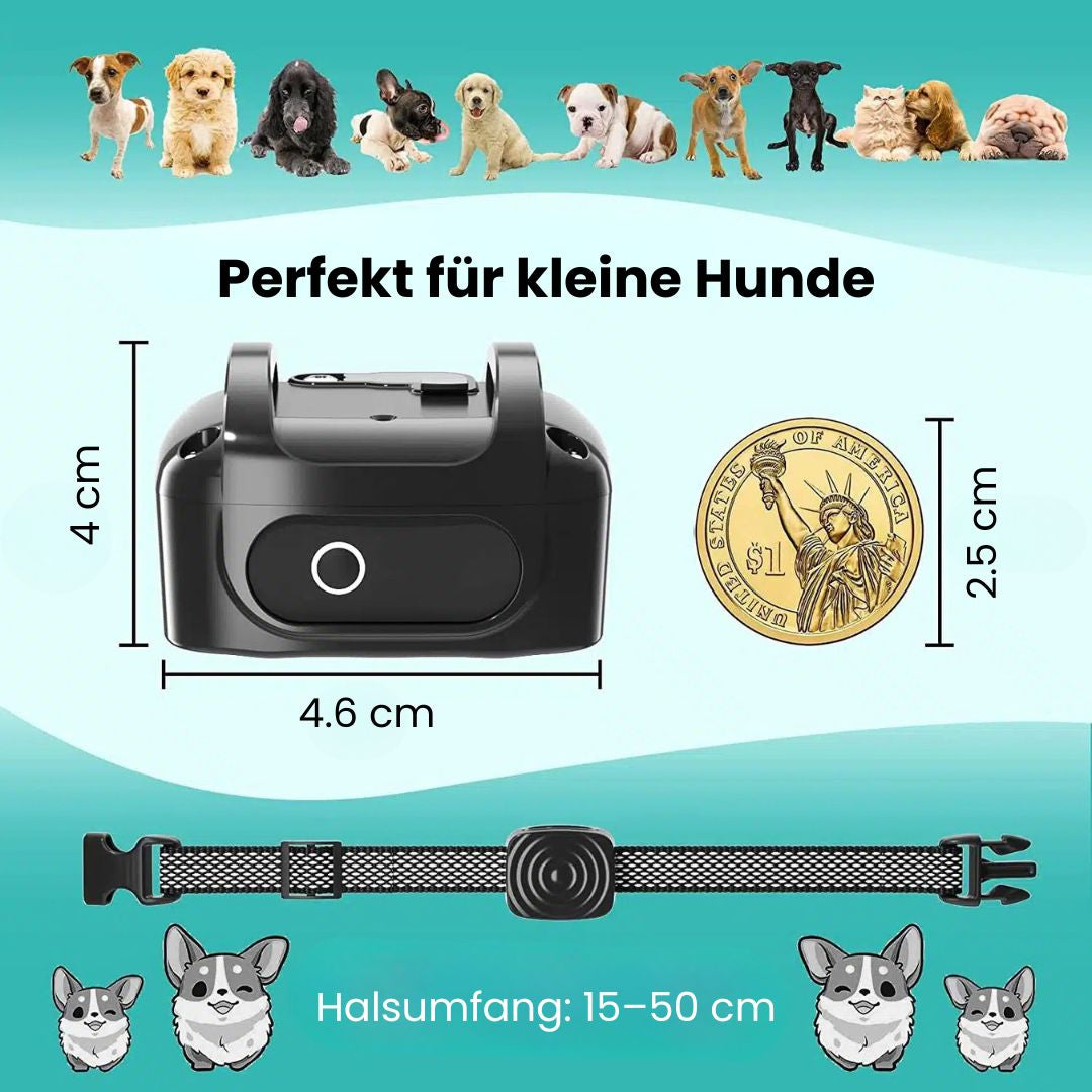 Hundebellhalsband | Anti-Bell-Halsband für Hunde | BellFrei