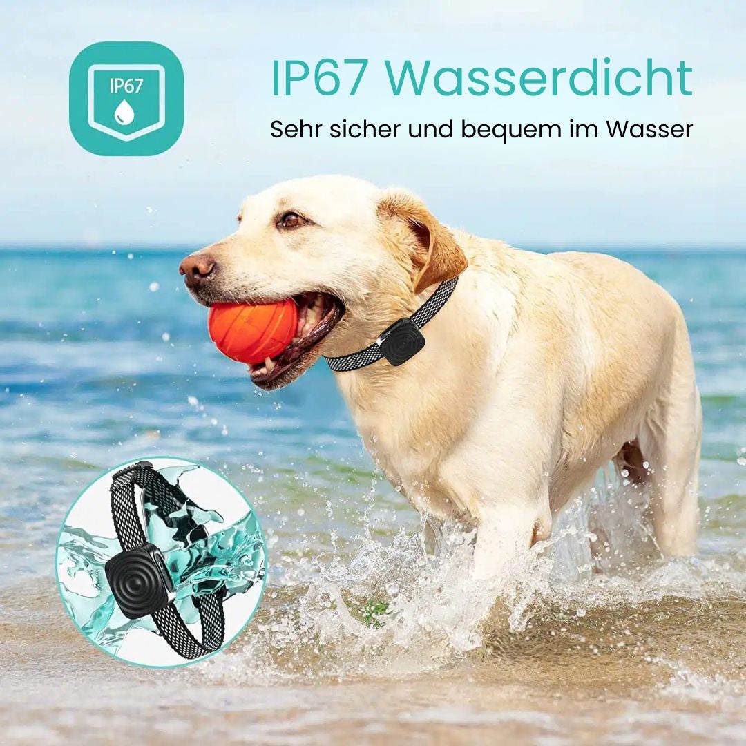 Hundebellhalsband | Anti-Bell-Halsband für Hunde | BellFrei