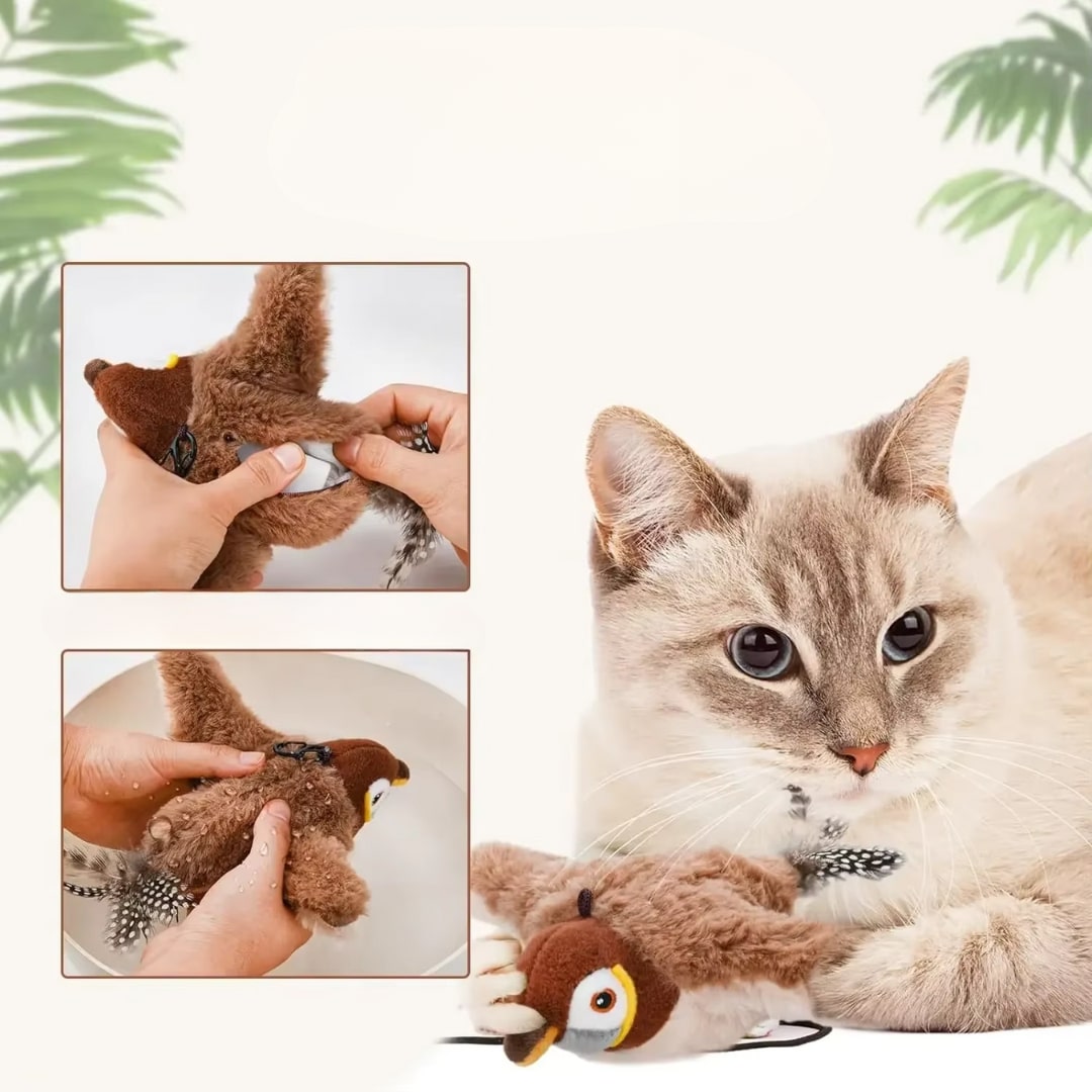 Katzenspielzeug | Flatternder Vogel Katzenspielzeug | Interaktiv und Spaßig | Miaulino