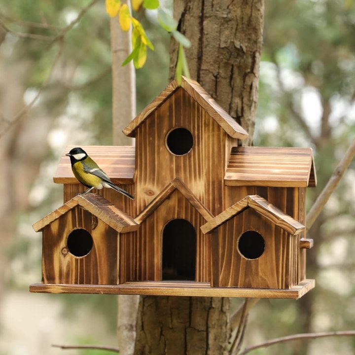 Vogelhaus - Funktionale Nistbox für kleine Vögel