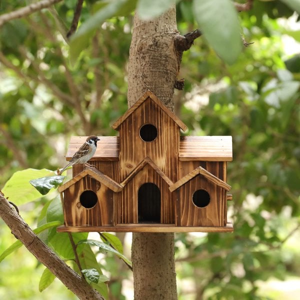 Vogelhaus - Funktionale Nistbox für kleine Vögel