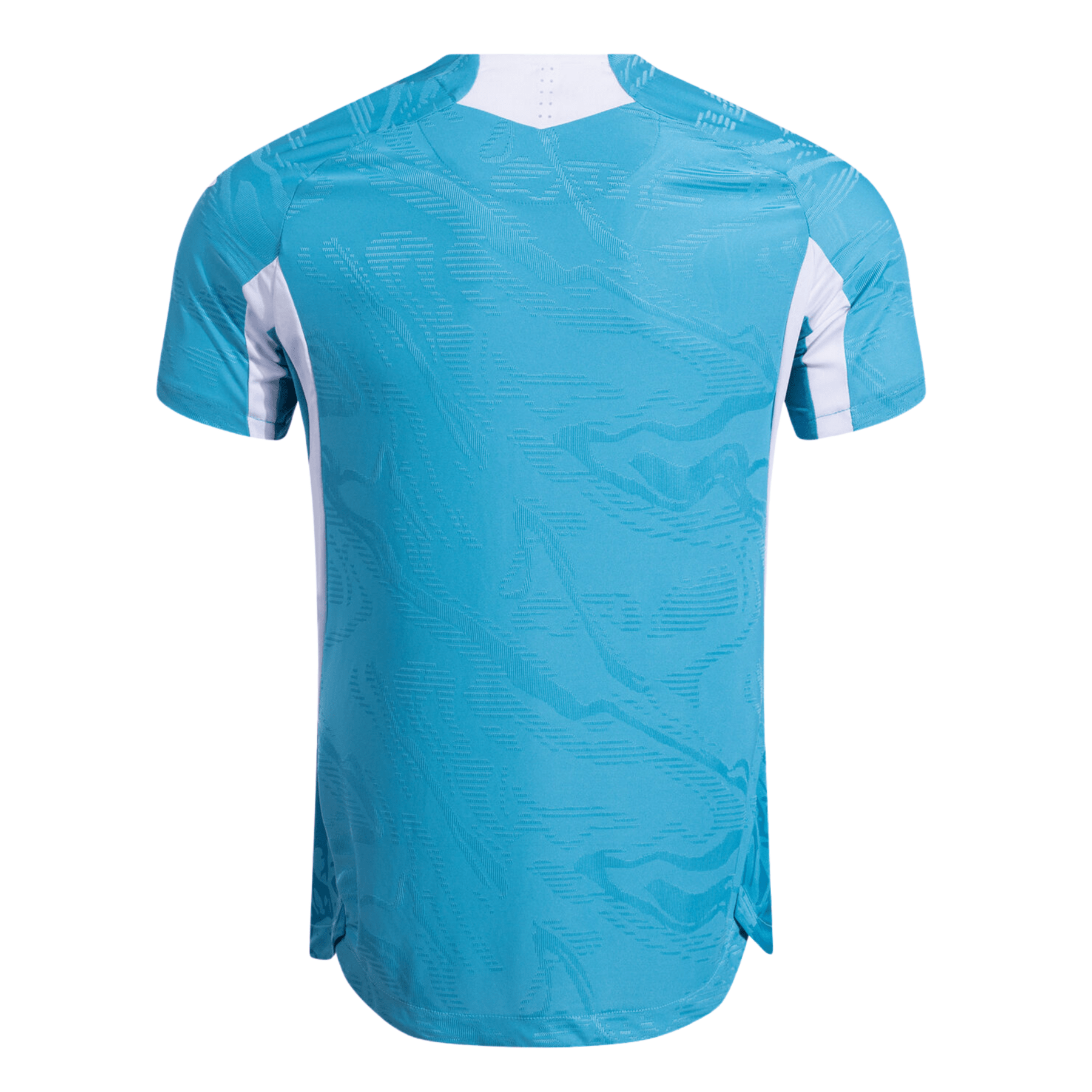 TSG HOFFENHEIM Auswärts-Trikot Herren 25 / 26