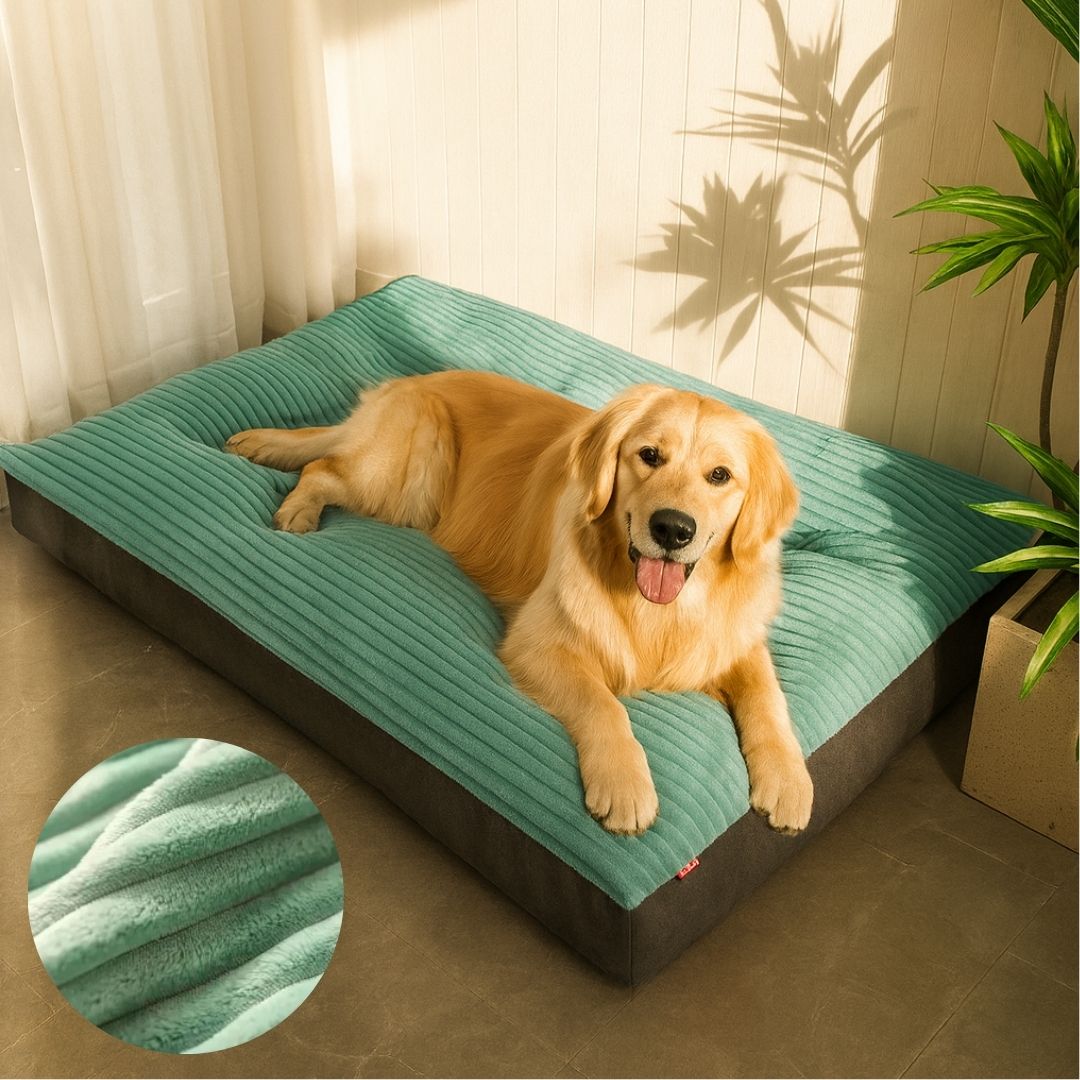 Orthopädisches Hundebett für große und kleine Hunde | Waschbares Hundekissen | WuffNest