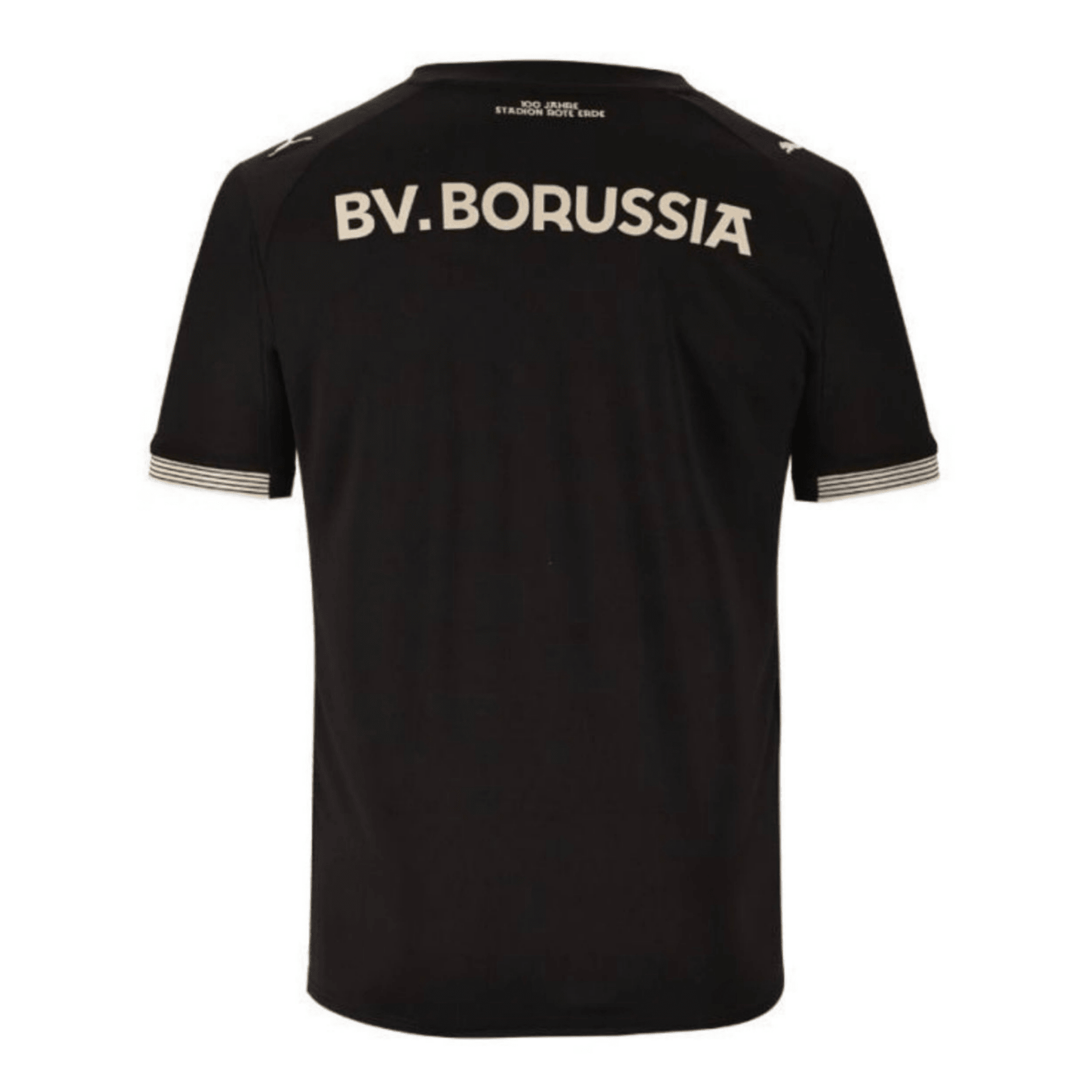 BVB BORUSSIA DORTMUND Sondertrikot Herren 25 / 26