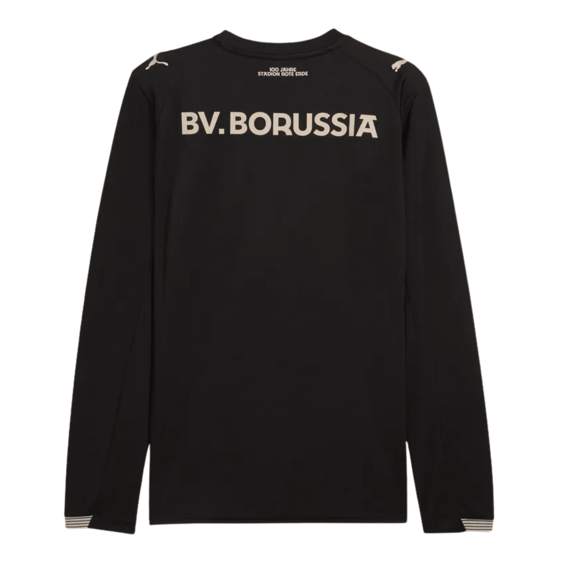 BVB BORUSSIA DORTMUND Sondertrikot Herren Langarm 25 / 26