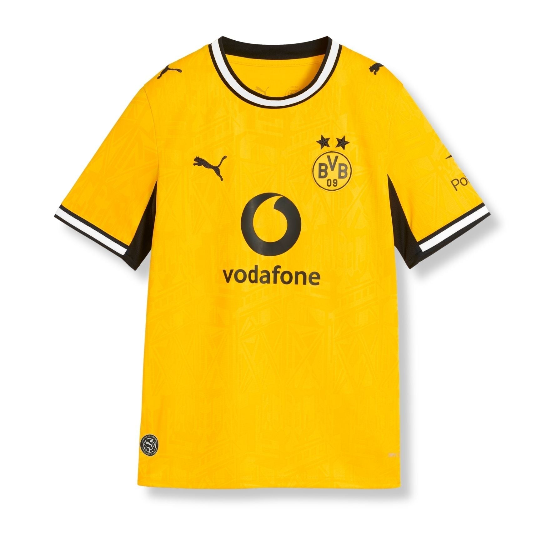 BVB BORUSSIA DORTMUND Home Jersey Kids 26 / 27
