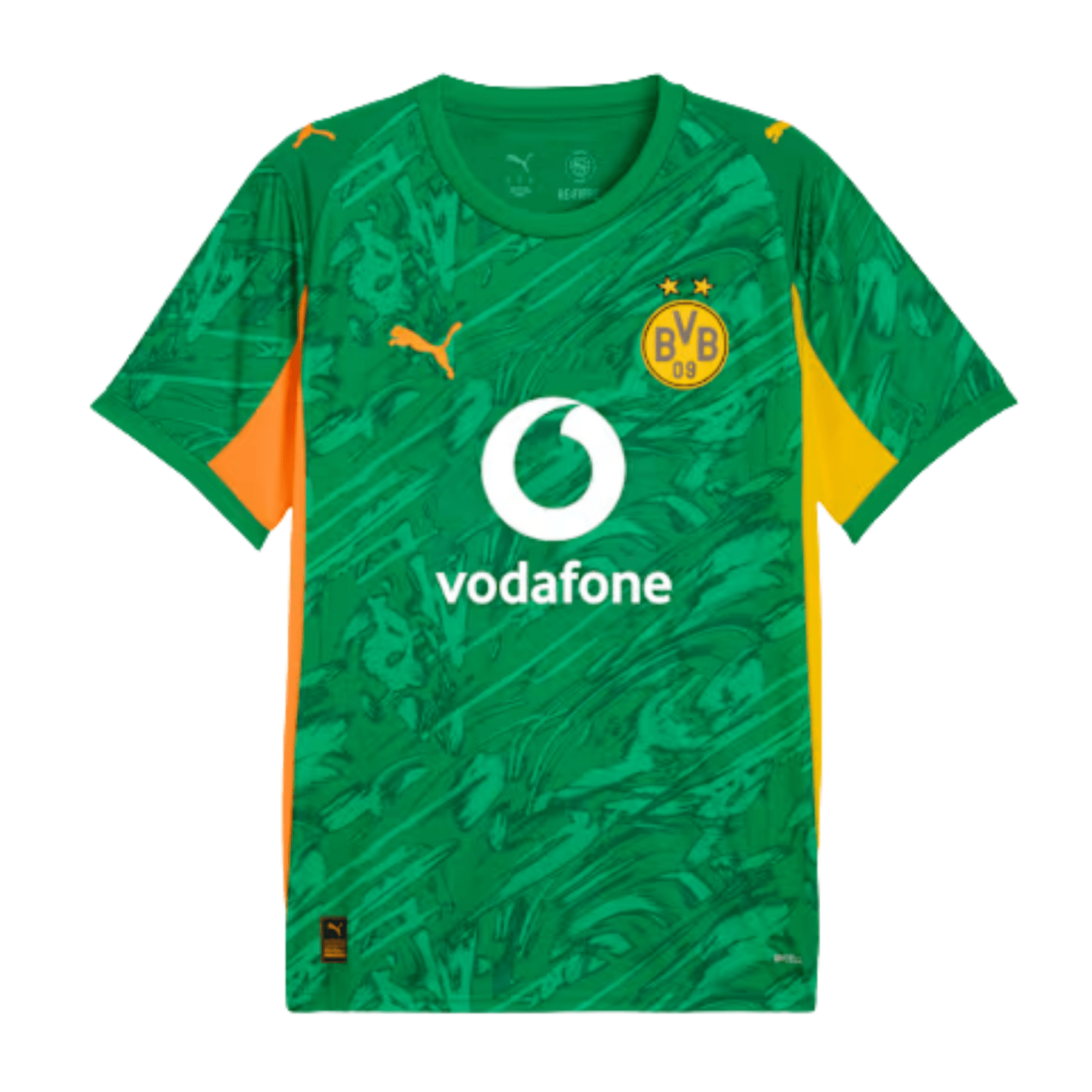 BVB BORUSSIA DORTMUND Torwarttrikot Herren Grün 25 / 26