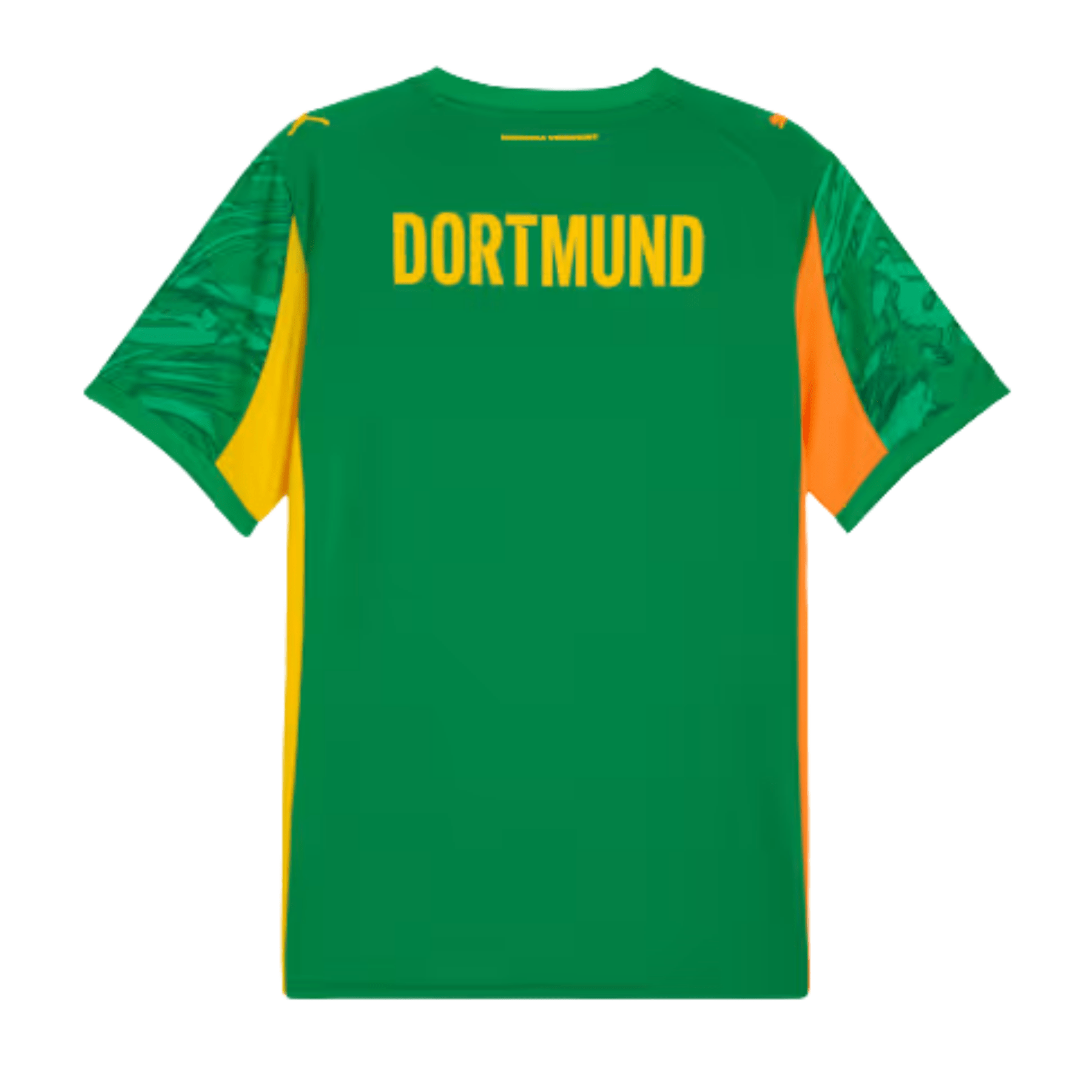 BVB BORUSSIA DORTMUND Goalkeeper Jersey Men Green 25 / 26
