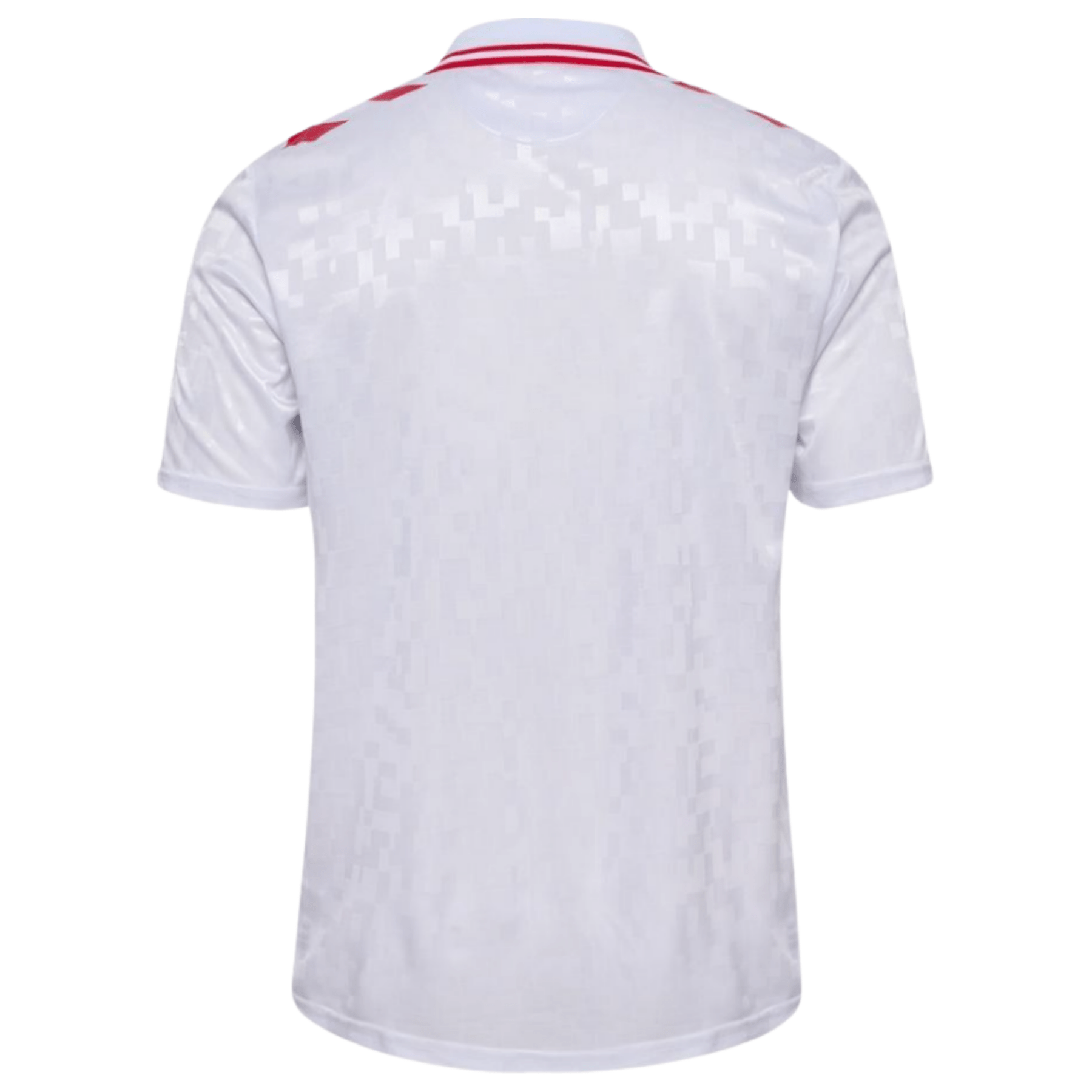 DBU DÄNEMARK Auswärts-Trikot Herren EURO 2024