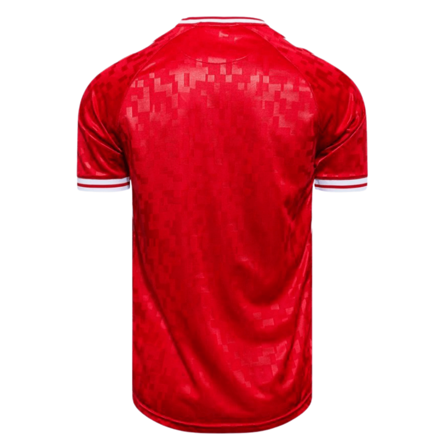 DBU DÄNEMARK Heimtrikot Kinder EURO 2024