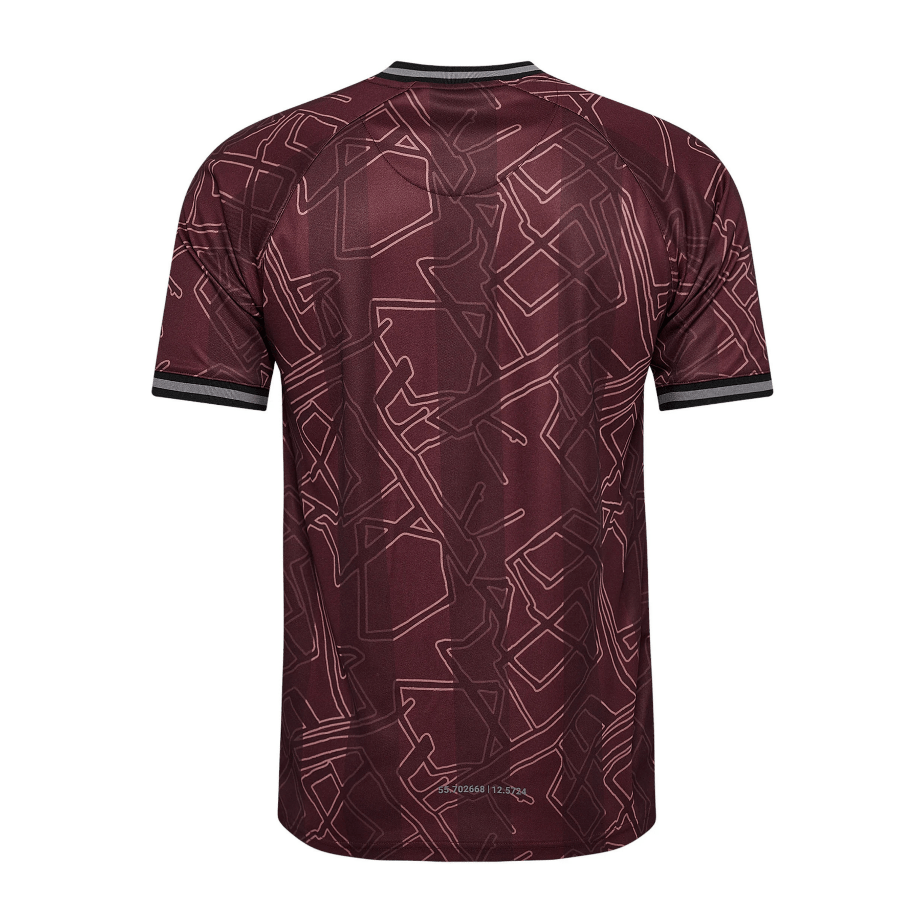 DBU DENMARK X HALO Special Shirt Men 2024