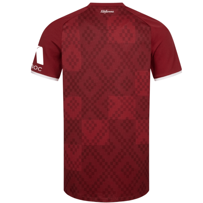 DYNAMO DRESDEN 3rd Jersey Men 24 / 25