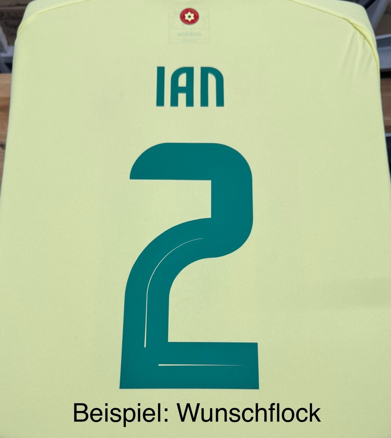 FAW WALES Auswärtstrikot Herren 24 / 25