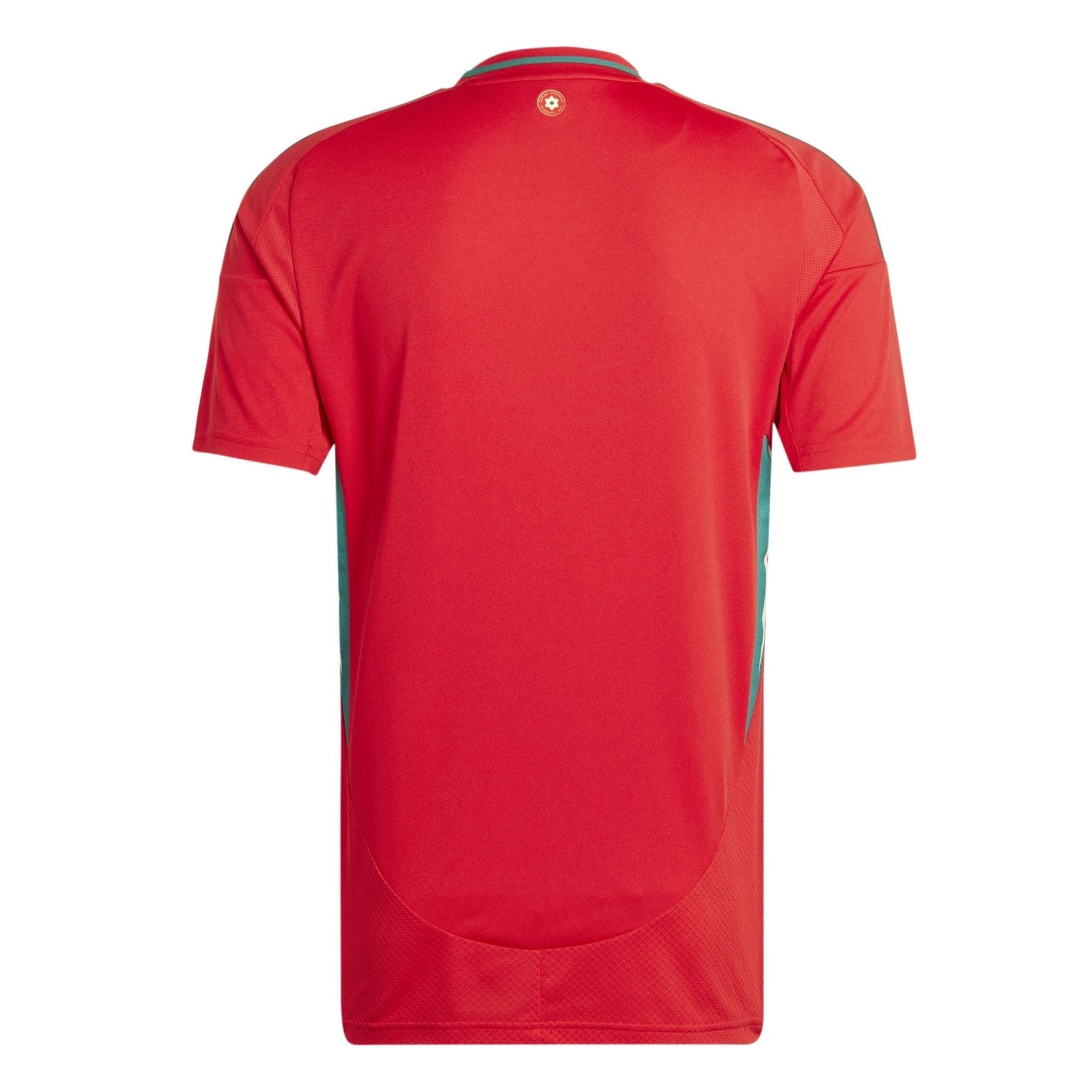 FAW WALES Heimtrikot Herren 24 / 25