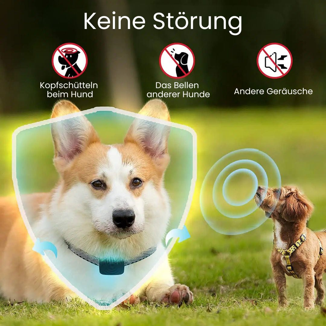 Hundebellhalsband | Anti-Bell-Halsband für Hunde | BellFrei
