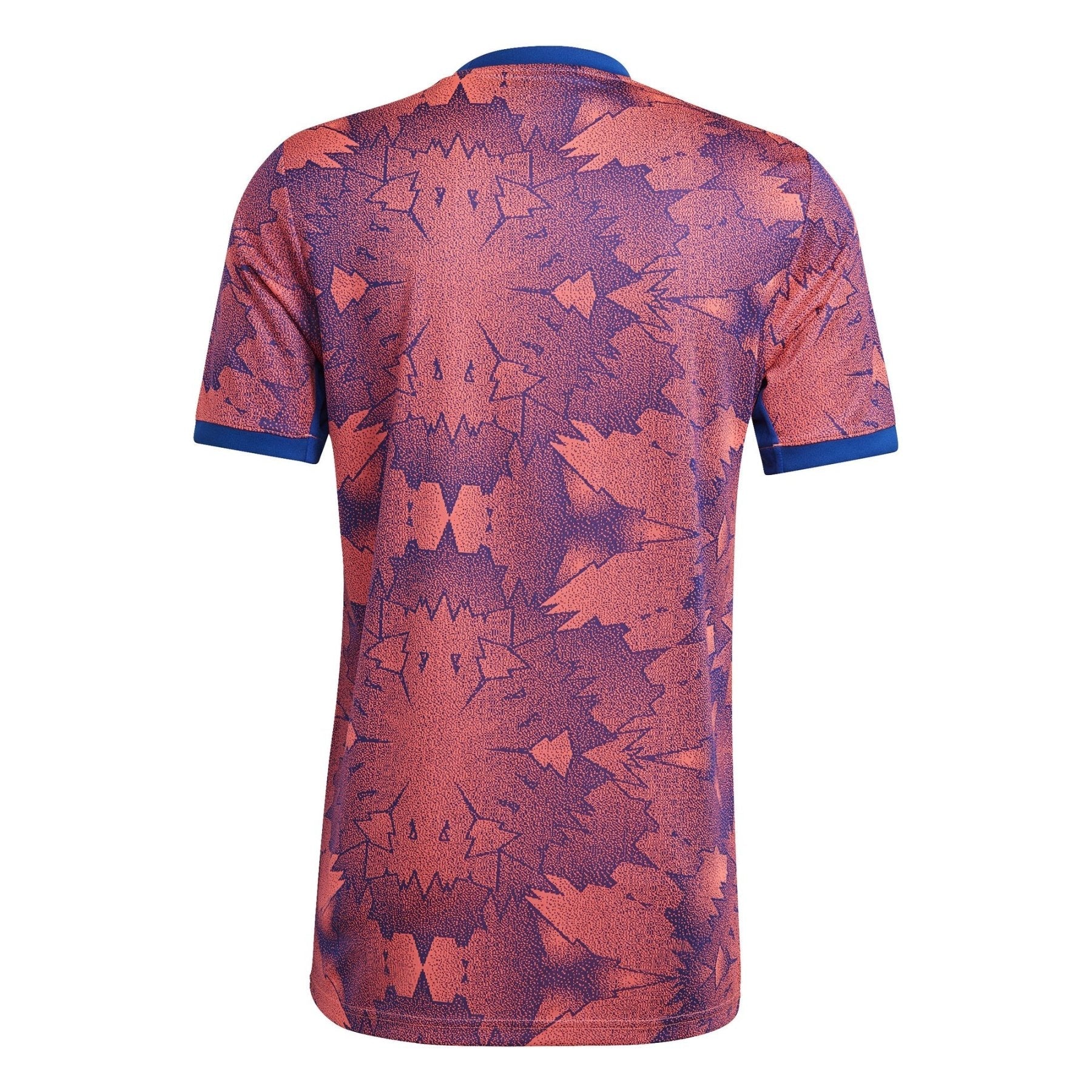 JUVENTUS TURIN Third Shirt Men 22 / 23