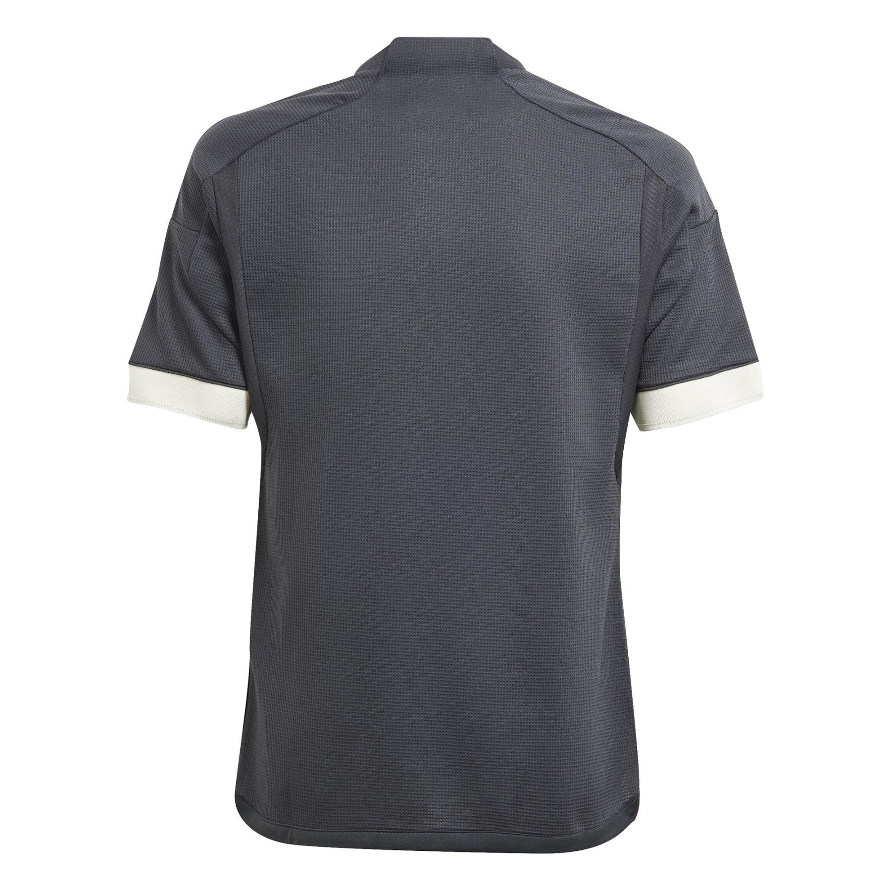 JUVENTUS TURIN 3rd Kit Kids 23 / 24