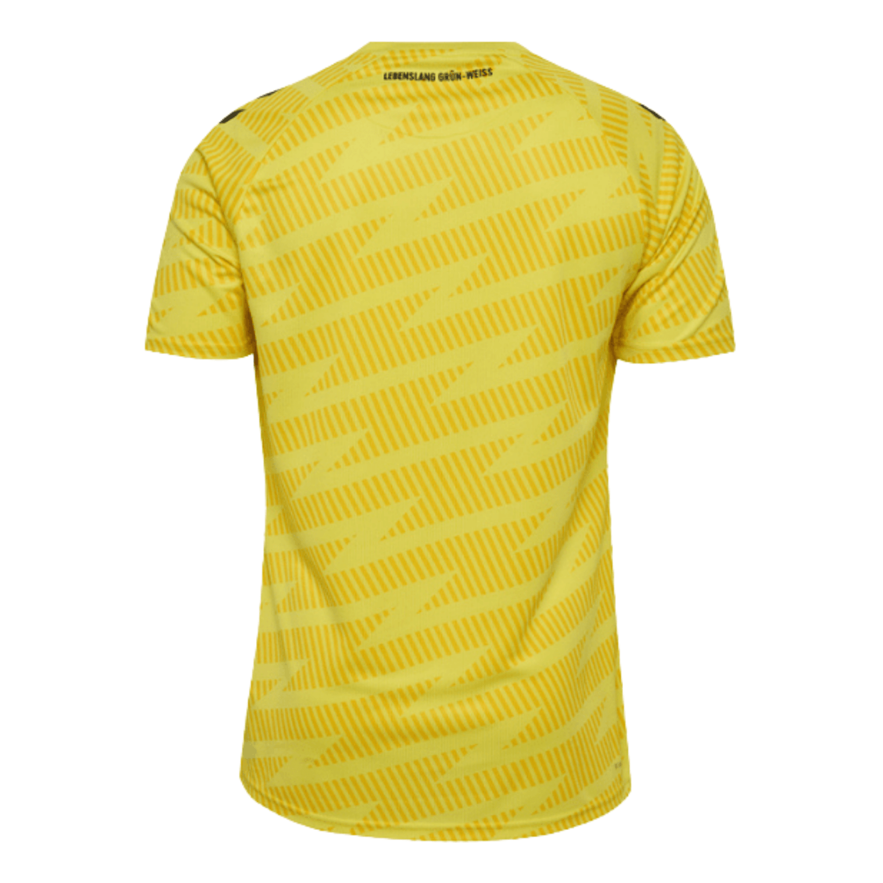 SVW SV WERDER BREMEN Torwarttrikot Herren Gelb 25 / 26