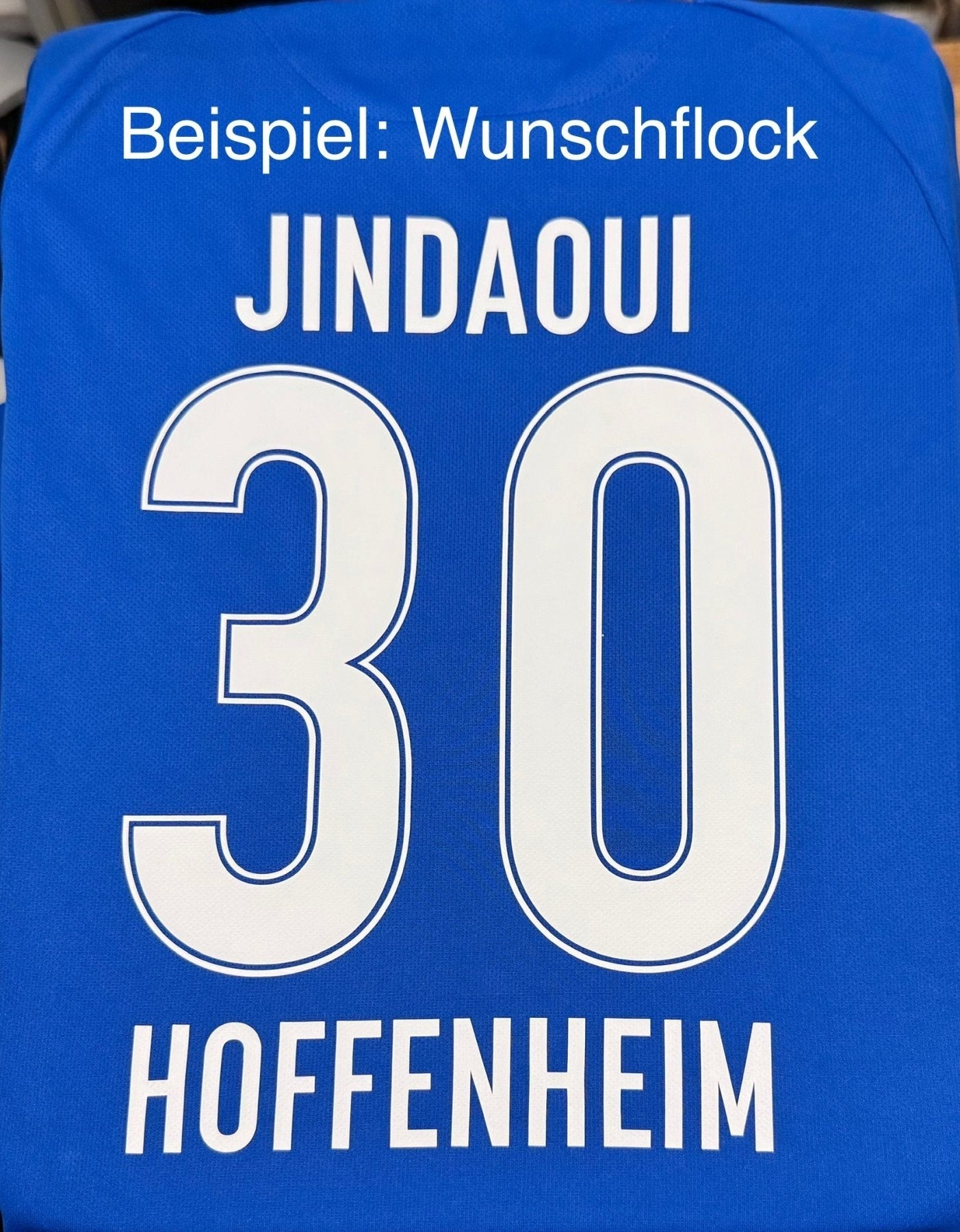 TSG HOFFENHEIM Home Jersey Men 20 / 21