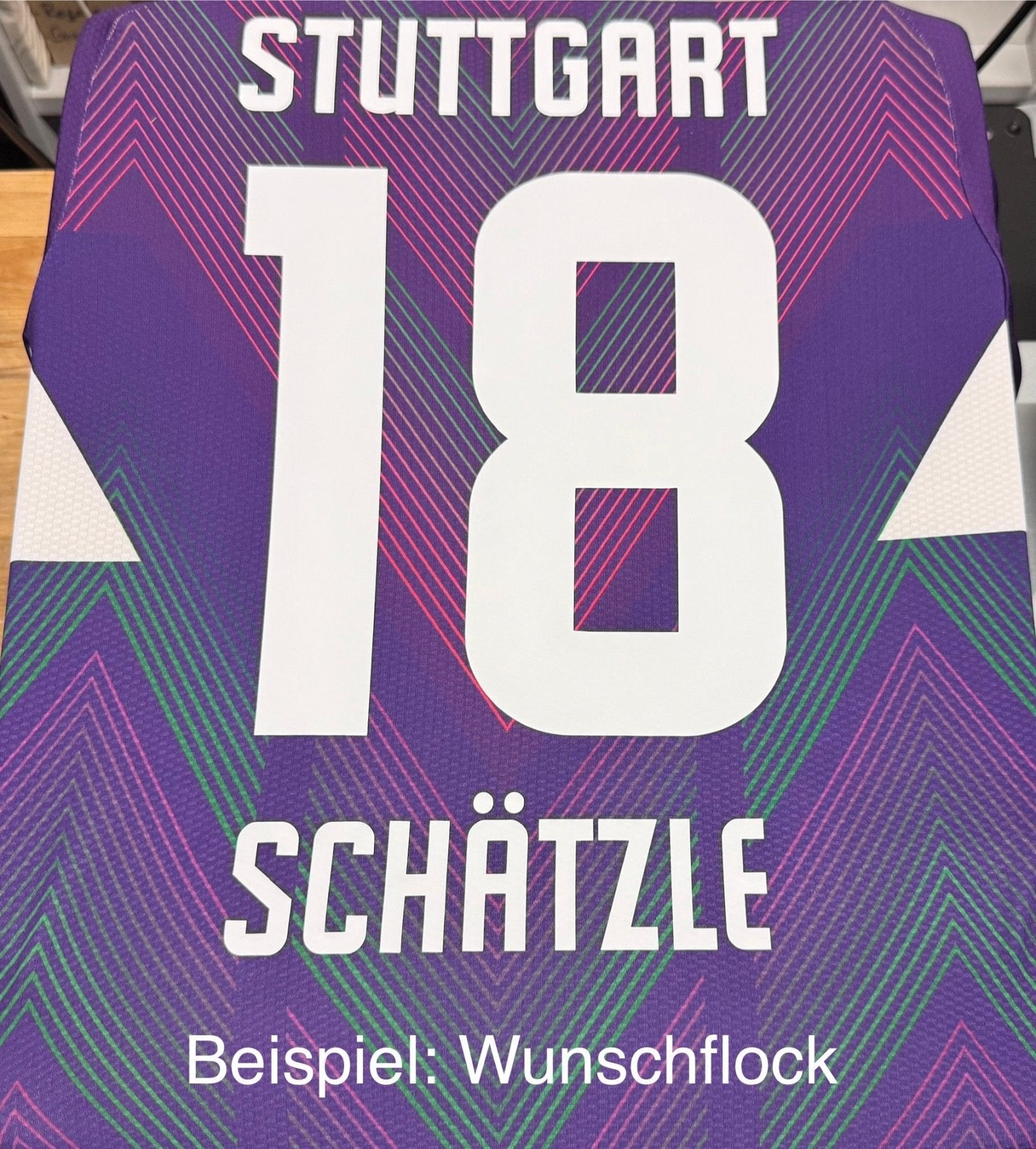 VFB STUTTGART Torwarttrikot Herren Lila 24 / 25