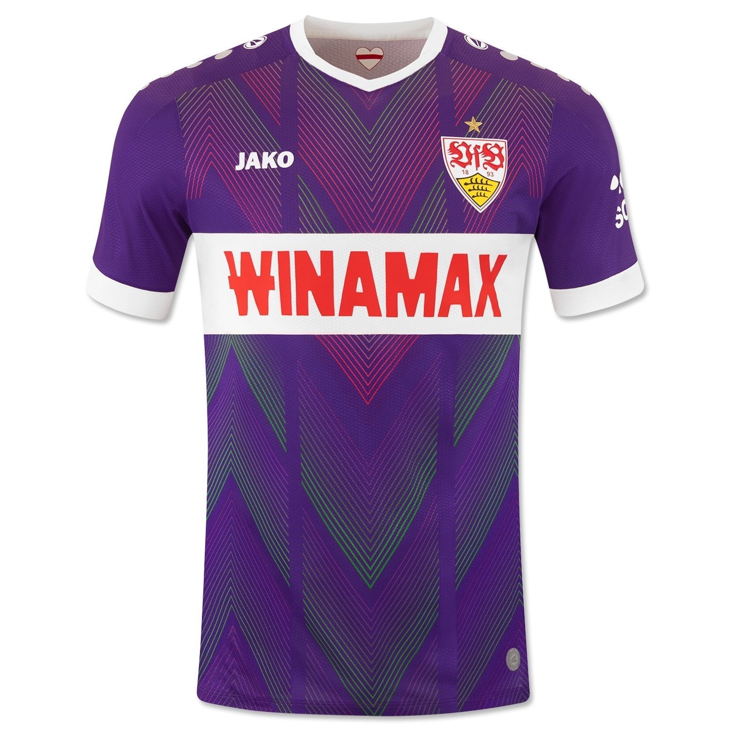 VFB STUTTGART Goalkeeper Jersey Men's Purple 24 / 25